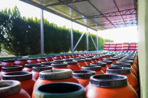 Fermentation Barrels